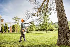 Professional Tree Removal and Landscaping Services in Burns Harbor, IN